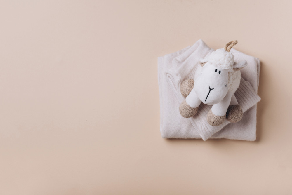 Faire une donation chez le notaire: tout ce que vous devez savoir